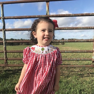 First Birthday Outfit Girl, Farm Dress, Farm Party, Farm Birthday, Farm Birthday Party, Smocked Dress,  Zuli Kids 412235 -BB029