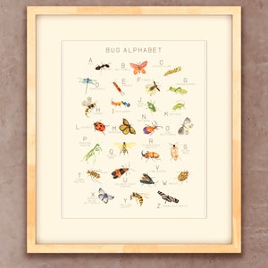 Cartel de insectos / Impresión de insectos / Amante de los insectos / Impresión de insectos / Aprendizaje Montessori