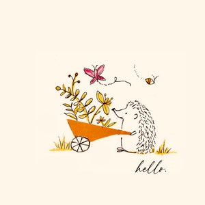 cartões de nota do ouriço olá! Planta do carrinho de mão do ouriço de <br> Entrega Rápida? Hedgehog Notecard CAIXA de 6