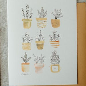 Conjunto de suculentas em caixa com 6 cartões comemorativos para amantes de plantas, cartão de planta caprichoso moderno de meados do século, ilustração em aquarela