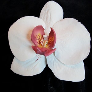 moth orchid sugar flowers edible gum paste wedding cake topper phaelenopsis mothers day floral arrangement keepsake handmade fondant