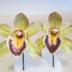 Realistic Cymbidium or Cattleya sugar flower orchid, Orchid lovers sugar flowers for cakes, gumpaste orchids