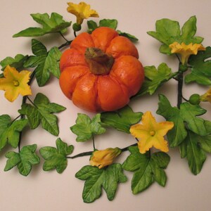 Könnte beinhalten: Ein kleiner orangefarbener Kürbis mit grünen Blättern und gelben Blüten. Der Kürbis ist von grünen Blättern und gelben Blüten umgeben.