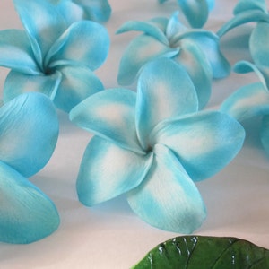Plumeria Sugar Flower Cake Toppers: Hawaiian Wedding Flowers, Set of 12