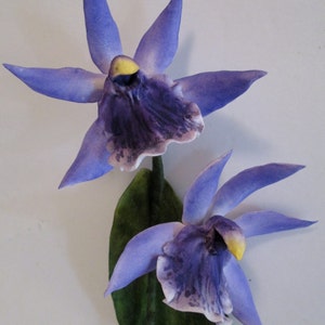 sugar orchid gum paste cake topper zygopetalum handmade fondant