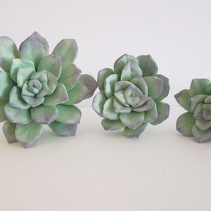 Realsitic echeveria rosette succulent cactus  sugar gum paste edible cake topper hand made fondant
