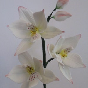 Delicate realistic sugar orchid cake topper, Gumpaste orchid &quot;Caularthron Bicornutum&quot;, Orchid lovers cake decoration, white orchid for cakes