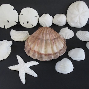 Shell cake topper clam oyster starfish sea horse beach sand destination wedding ocean hand made fondant