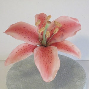 Realistic Stargazer lily sugar flower cake topper for wedding and bridal cakes, Gumpaste Asiatic lily cakes topper