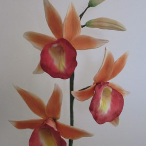 Delicate realistic sugar orchid cake topper, Phaius orchid,&quot;Lady Ramona&quot; gumpaste orchid for cakes, Australia Sunset color, Orchid lovers