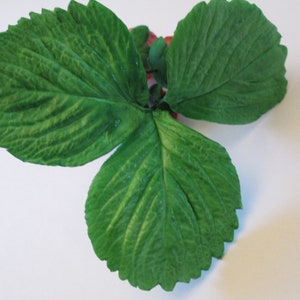 Realsitic Pretty Strawberry sugar berries and foliage cake toppers, gumpaste  filler flowers for cakes