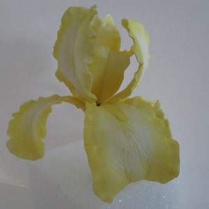 Realistic Bearded Iris sugar flowers cake topper, gum paste, yellow white maroon hand made fondant