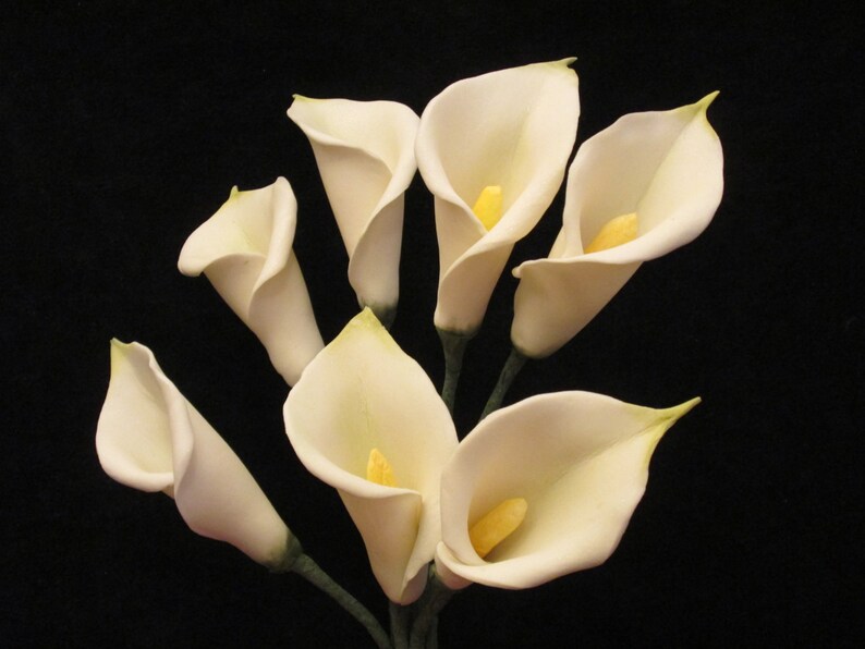 Handmade Calla Lilies Arum Sugar Flowers Gumpaste Edible Etsy