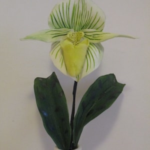 Realistic exotic Slipper orchid sugar flower, "Paephiopedalum" gumpaste flowers cake topper, orchid lovers sugar flowers