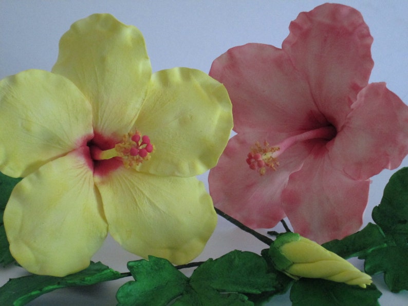 Handmade sugar flowers hibiscus cake topper edible gum paste Etsy