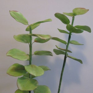 eucalyptus cake topper gum paste sugar hand made fondant