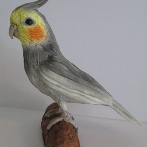cockatiel parrot cake topper gumpaste gold blue mccaw african grey conure peach face love bird edible bird watcher animal figure keepsake