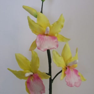 Delicate realistic sugar orchid cake topper, Gumpaste orchid  &quot;Miltonia Puna Cave&quot;, Orchid lovers sugar flowers wedding or celebration cakes