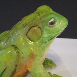 African Bullfrog cake topper, Sugar African Bullfrog cake decoration, For frog lovers, Unique frog cake topper