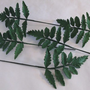 Gumpaste Fern Cake Toppers: Handmade Sugar Foliage, Set of 5