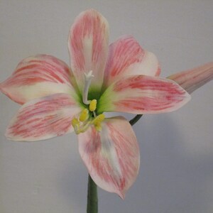 Christmas Amaryllis cake topper, sugar flower cake topper, gum paste