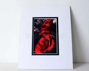 Red Roses Matted Wall Art