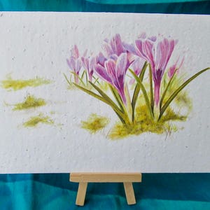 Carte de voeux en papier ensemencé WILDFLOWER