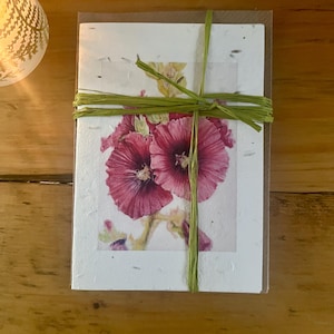 CARTA CON SEMINE DI FIORI DI CAMPO Bigliettini di malvarosa - Set di cinque abbinati
