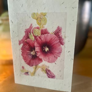 Carte A5 Rose trémière PAPIER GRAINES DE FLEURS SAUVAGES