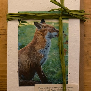 PAPIER GRAINÉ DE FLEURS SAUVAGEs Notelets-Ensemble de cinq portraits de renard différents avec enveloppes