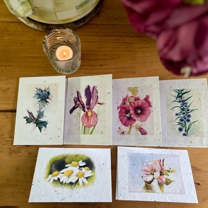 Confezione mista di bigliettini di carta con semi di fiori selvatici - sei biglietti e buste