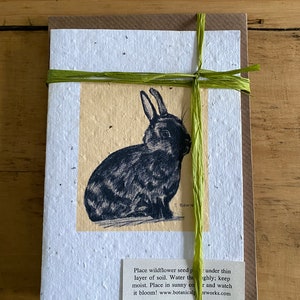 WILDFLOWER SEEDED PAPER Rabbit Notelets - Set di cinque note corrispondenti con buste