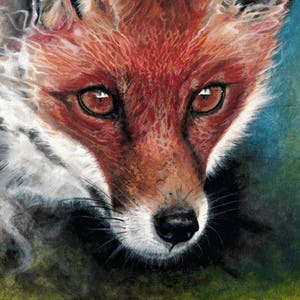 Yuletide/Natale FIORI DI CAMPO CARTA CON SEMI Biglietto d'auguri Fox