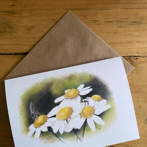 May include: A greeting card with a drawing of a cluster of white daisies with yellow centers. A small insect is perched on one of the daisies.