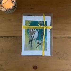 CARTA CON SEMI DI FIORI DI CAMPO Bigliettini Goldcrest - Set di cinque bigliettini abbinati con buste - Ideali per l'estate