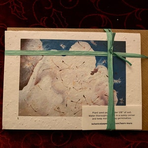 CARTA SEMI DI FIORI SELVATICI Dandilion Clock Notelets - Set di cinque notelet corrispondenti con buste