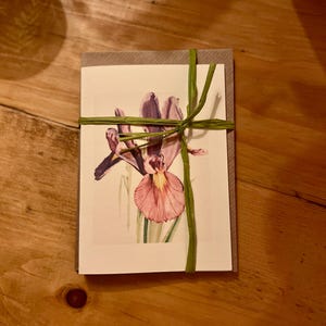 May include: A card with a watercolor illustration of a purple and pink iris flower tied with a green ribbon.