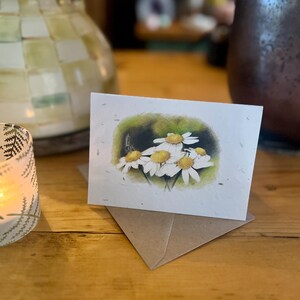 CARTA CON SEMI DI FIORI DI CAMPO Bigliettini di Partenio - Set di cinque bigliettini abbinati con buste - Ideali per l'estate