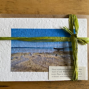 Bigliettini di carta con semi di fiori selvatici - Set di cinque diverse scene delle Isole Scilly con buste