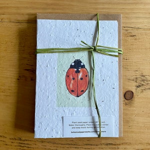 CARTA CON SEMI DI FIORI SELVATICI Good Luck Ladybird Notelets - Set di cinque notette abbinate con buste