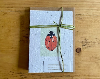 WILDFLOWER SEEDED PAPER Good Luck Ladybird Notelets - Set of Five Matching Notelets with Envelopes
