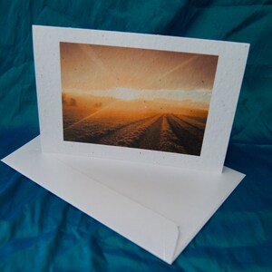 WILDFLOWER SEEDED PAPER Blank Greetings Card- « Love and Light »