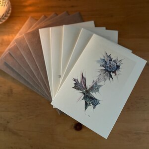 May include: A stack of blank greeting cards with a botanical illustration of a blue and green thistle on the top card.