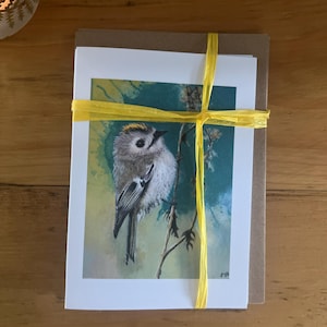 May include: A set of greeting cards featuring a watercolor painting of a small bird perched on a branch. The cards are tied with a yellow ribbon and are on top of a brown card. The bird has gray, white, and brown feathers.