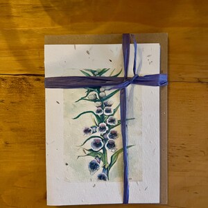 Feuillets digitales en PAPIER GRAINES DE FLEURS SAUVAGES - Jeu de cinq cartes assorties avec enveloppes