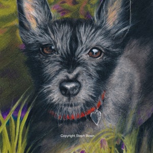 WILDFLOWER SEEDED PAPER Terrier Dog Notelets - Set di cinque notelette corrispondenti con buste