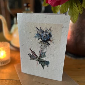 FIORI DI CAMPO SEMINATI CARTA Biglietto di auguri con fiori di elicriso marino Ideale per Pasqua