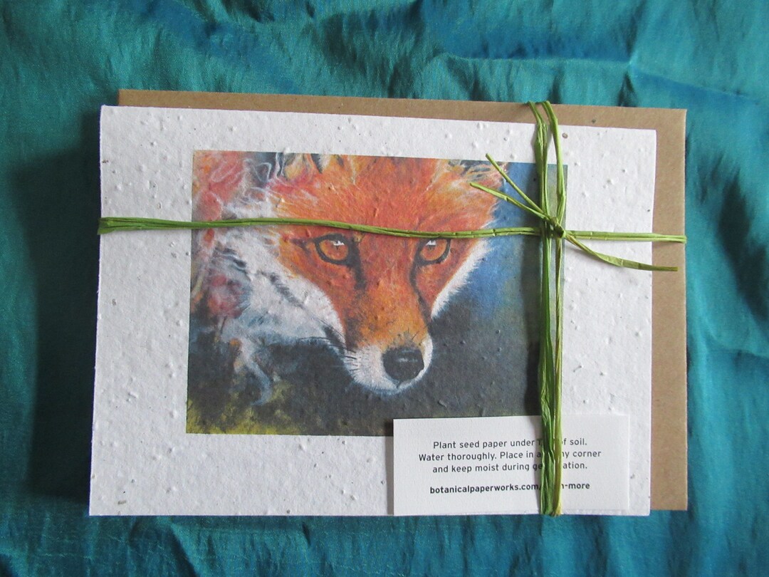 Notelets With Fox Pattern WILDFLOWER SEEDED PAPER Fire Fox Notelets - Set of Five Matching ...
