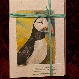 PAPIER ENSEMENCÉ DE FLEURS SAUVAGES Puffin Notelets - Ensemble de cinq billets-notes assortis avec enveloppes