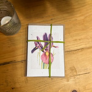 CARTA CON SEME DI FIORI DI CAMPO Bigliettini di iris - Set di cinque abbinati